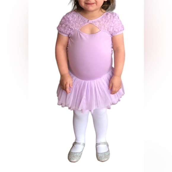 Danz N Motion Purple Dance Dress Toddler Sz 2-4 - Picture 1 of 5